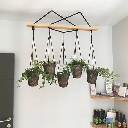 Gite O 29 #container Pool#jacuzzi# 度假居 *